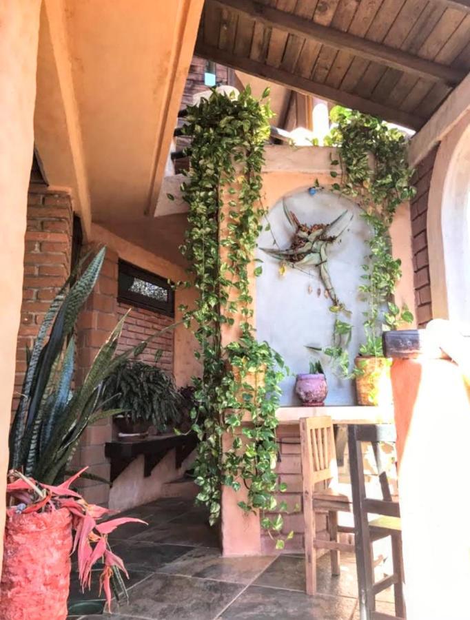 Posada Olivo Mazunte Exterior foto