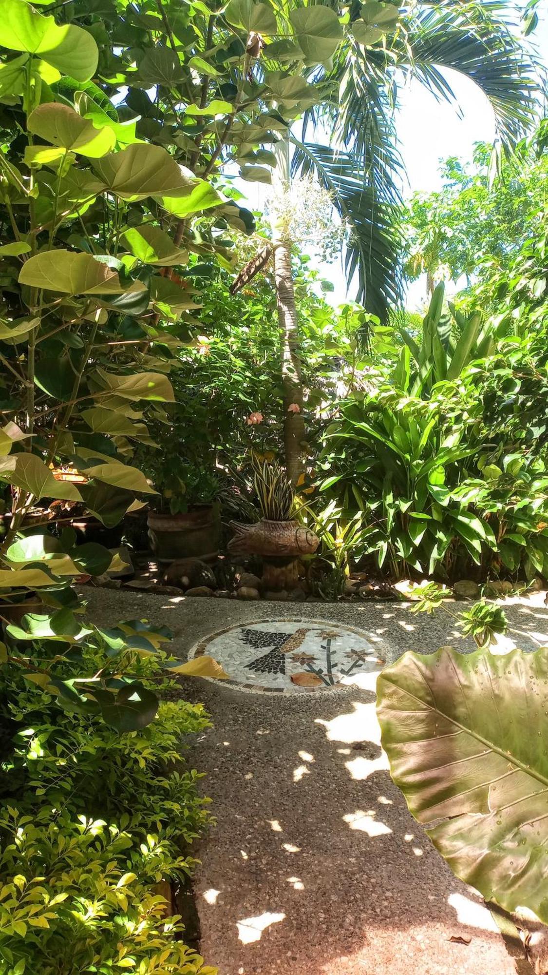 Posada Olivo Mazunte Exterior foto