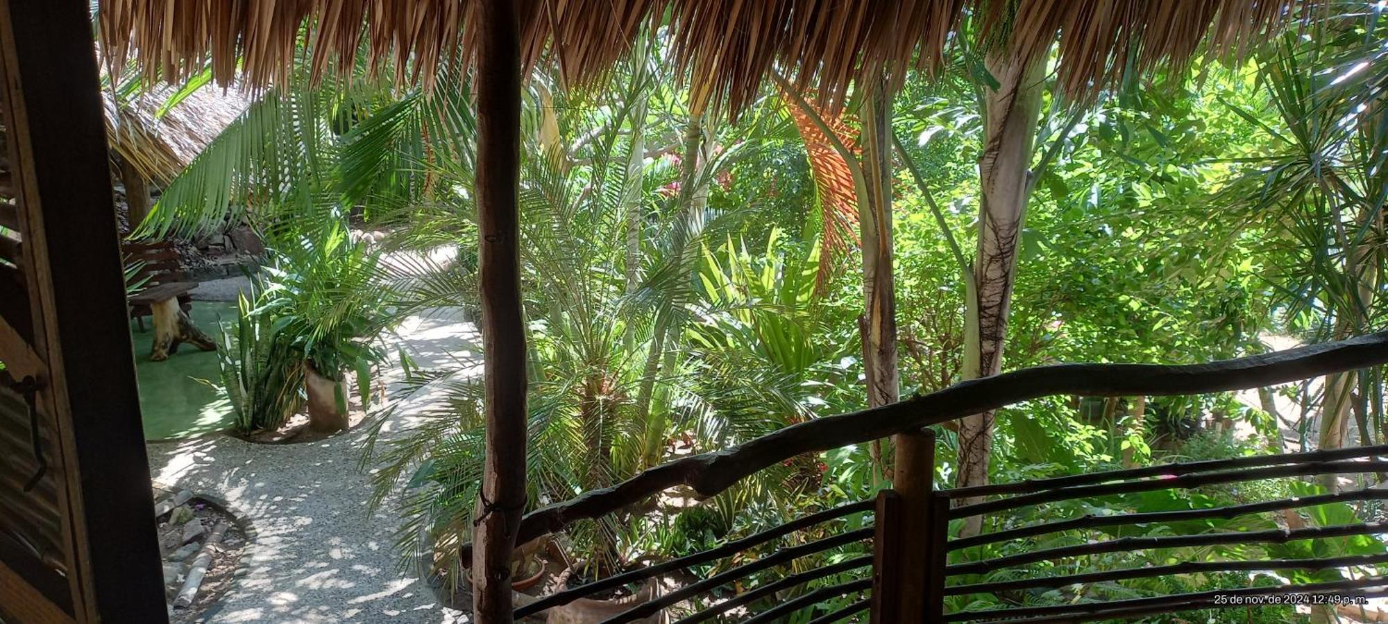 Posada Olivo Mazunte Exterior foto