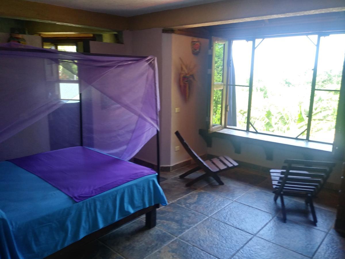 Posada Olivo Mazunte Exterior foto